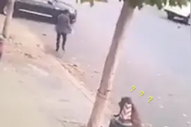 辽宁大连一野猪在街头乱窜监控曝光，目击者：猪往路人身上蹿视频封面