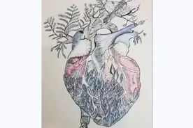 被医学“耽误”的灵魂画手！大学医学生手绘人体器官极具艺术美感视频封面