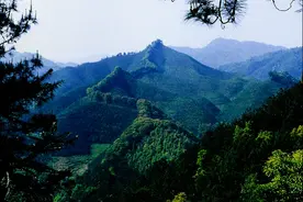 广东3条精品森林旅游线路出炉：秋染红林、百鸟争鸣、登山望远图片
