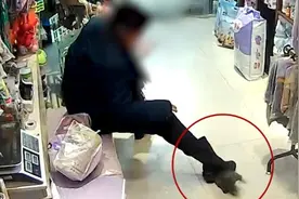 顾客退猫未果将其摔打狠踩，事后道歉