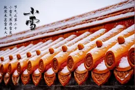青岛最佳海鸥观赏地大集合，这个冬天，安排图片