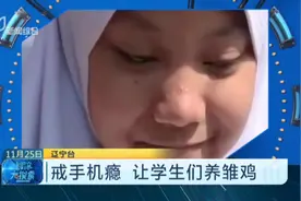孩子天天忙着看手机，怎么办？戒手机瘾，印尼让学生们养雏鸡视频封面