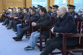 判了！洞庭湖“湖霸”夏顺安获刑25年视频封面