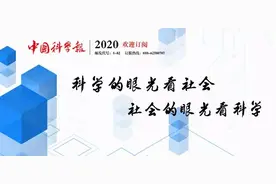 数学天才的“最强大脑”如何运作图片
