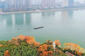 油画般的桐君山图片