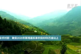 农业农村部：确保2020年新增高标准农田8000万亩以上视频封面