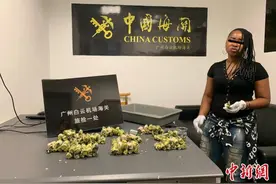 外籍旅客“非洲粽子”中藏近20万美元广州入境被查获图片