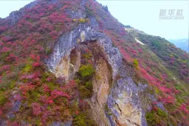 重庆巫山：初冬红叶映三峡视频封面