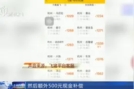 合适吗？“双十一”特价机票遭“悔票”，消费者不满商家退款方案视频封面
