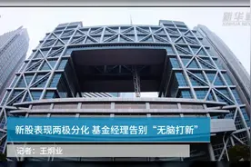 新股表现两极分化 基金经理告别“无脑打新”视频封面