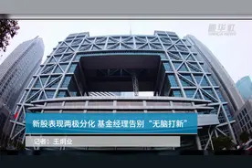 新股表现两极分化 基金经理告别“无脑打新”视频封面