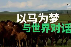 以马为梦 与世界对话视频封面