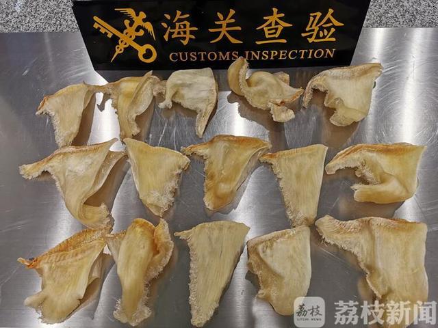 澳门花胶可以出关吗 2026年澳门花胶可以出关吗是真的吗