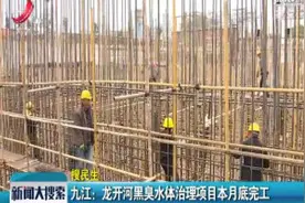 九江：龙开河黑臭水体治理项目12月底完工视频封面
