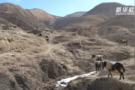 载重物 翻高山！这里有一群靠谱的“高原送货员”视频封面