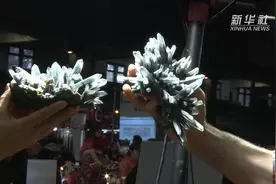 温哥华宝石与矿石展引热潮视频封面