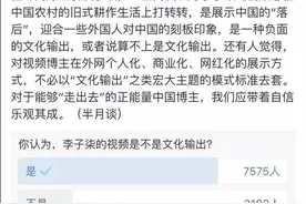 坐拥735万海外粉丝的李子柒，算文化输出吗？图片