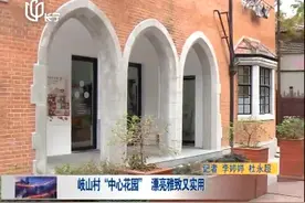岐山村“中心花园”漂亮雅致又实用视频封面