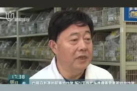 市民路边捡拾银杏果  专家提醒食用不当会中毒视频封面