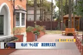岐山村“中心花园”漂流雅致又实用视频封面