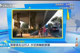 遇停车礼让，5岁女孩的这个小小举动，竟让司机忍不住拍下视频！视频封面