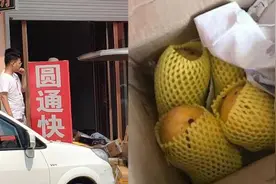 2019｜圆通“被下跪”当事人：等道歉视频封面