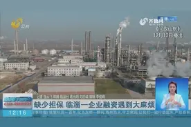 老牌化工企业开展大项目，却因缺少担保贷款遭拒，银行：难度太大视频封面