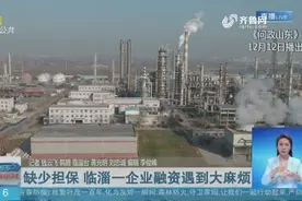 老牌化工企业开展大项目，却因缺少担保贷款遭拒，银行：难度太大视频封面
