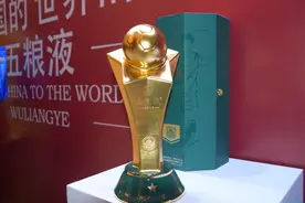 足球星城爱上五粮液图片