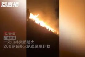 情侣山顶点烟花拍照引发山火 200多人扑救2小时图片