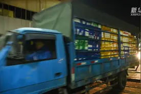 通关便利化助力供澳食粮抢“鲜”机视频封面