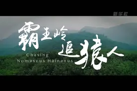 霸王岭追猿人视频封面