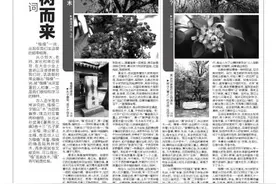 让美好发生 华远Hi平台它世界自然新闻周刊第358期 楷模一词因树而来 祁云枝/文图片