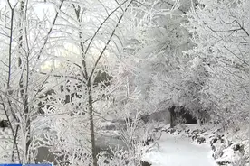 辽宁本溪水洞雾凇美景“醉游人”，让人仿佛置身童话中的冰雪世界视频封面
