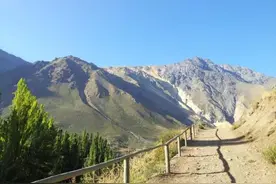 有一种智慧，叫放过自己图片