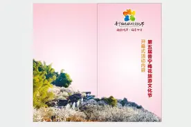 31日举行！第五届普宁梅花旅游文化节开幕式图片