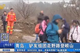 驴友组团走野路登崂山，被景区执法大队逮正着，组织者被罚2000元视频封面