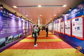 首届广东省退役军人创业大赛举行，神奇的海水稻获乡村振兴一等奖图片