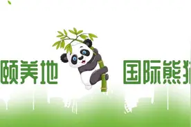 路况丨国道108线荥经双幅桥至泥巴山段将实施交通管制图片