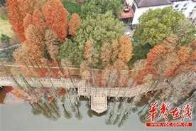 省植物园免费了，怎么游？图片