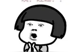 零突破！山东首次出口宠物犬，品种很霸气……图片