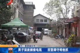 警方·景德镇乐平：男子深夜频偷电瓶 民警蹲守将他抓视频封面