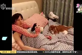 孕妇和猫能共存吗？专家起底弓形虫，快来看看究竟咋回事视频封面