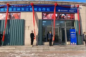 “妈妈制造”剪纸合作社落户吉林东辽视频封面