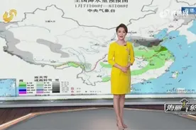 新年第一轮大范围雨雪来袭，山东多地将有大到暴雪，快出来打雪仗视频封面