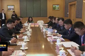 李英作参加代表团分组讨论视频封面