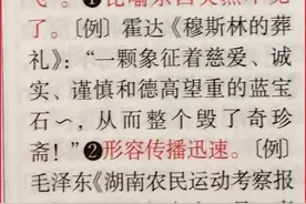 不翼而“飞”图片