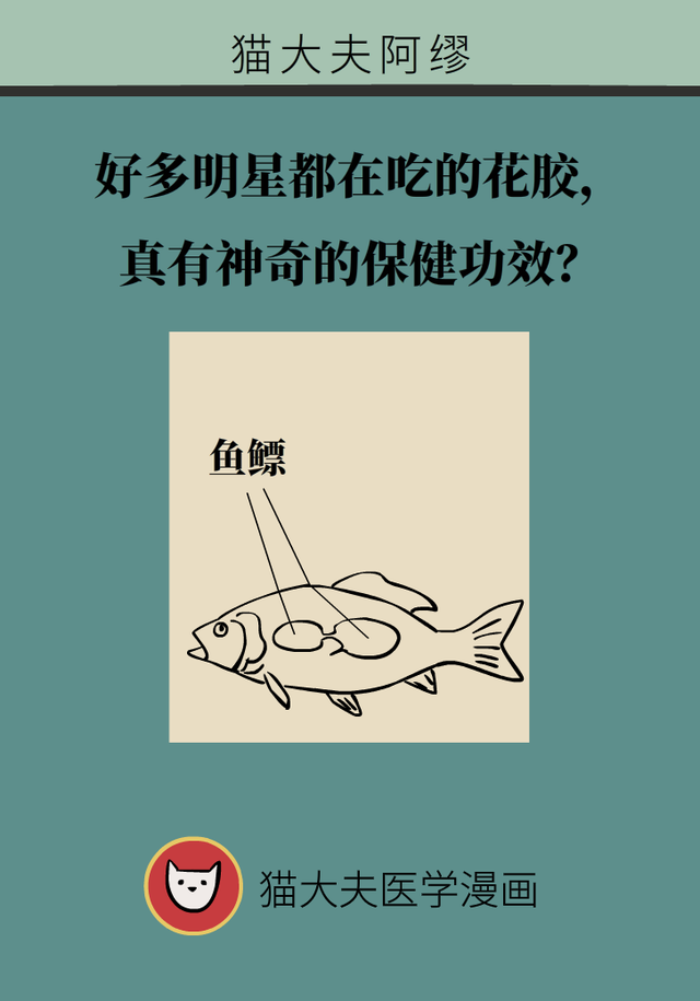 常吃花胶有什么好处 2026年常吃花胶有什么好处和功效 常吃花胶有什么好处 2026年常吃花胶有什么好处和功效