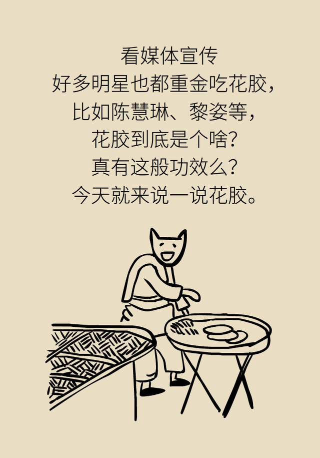 花胶到底有没有效果怎么样 2026年花胶真的有用吗 花胶到底有没有效果怎么样 2026年花胶真的有用吗