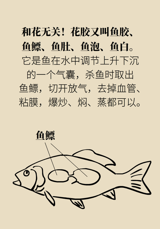 花胶到底有没有效果怎么样 2026年花胶真的有用吗 花胶到底有没有效果怎么样 2026年花胶真的有用吗